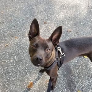 Meet your Posher, Carolyn